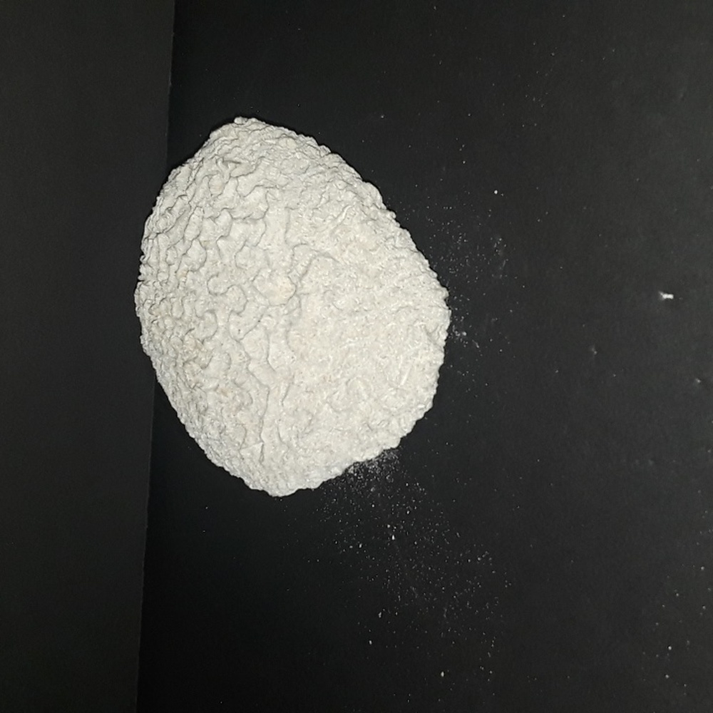 RARE VINTAGE NATURAL BRAIN CORAL SEA SPECIMEN FOSSIL 1.4 OZ - Picture 4 of 6